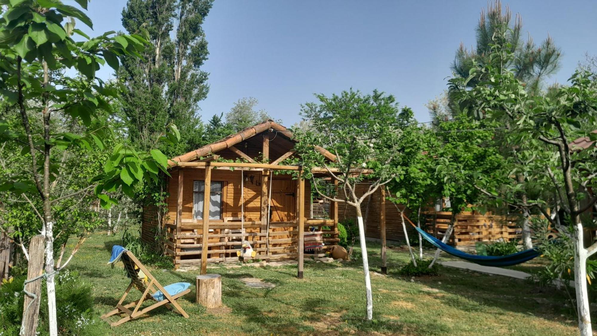 Tiny Houses Genacvale Мартвілі Екстер'єр фото