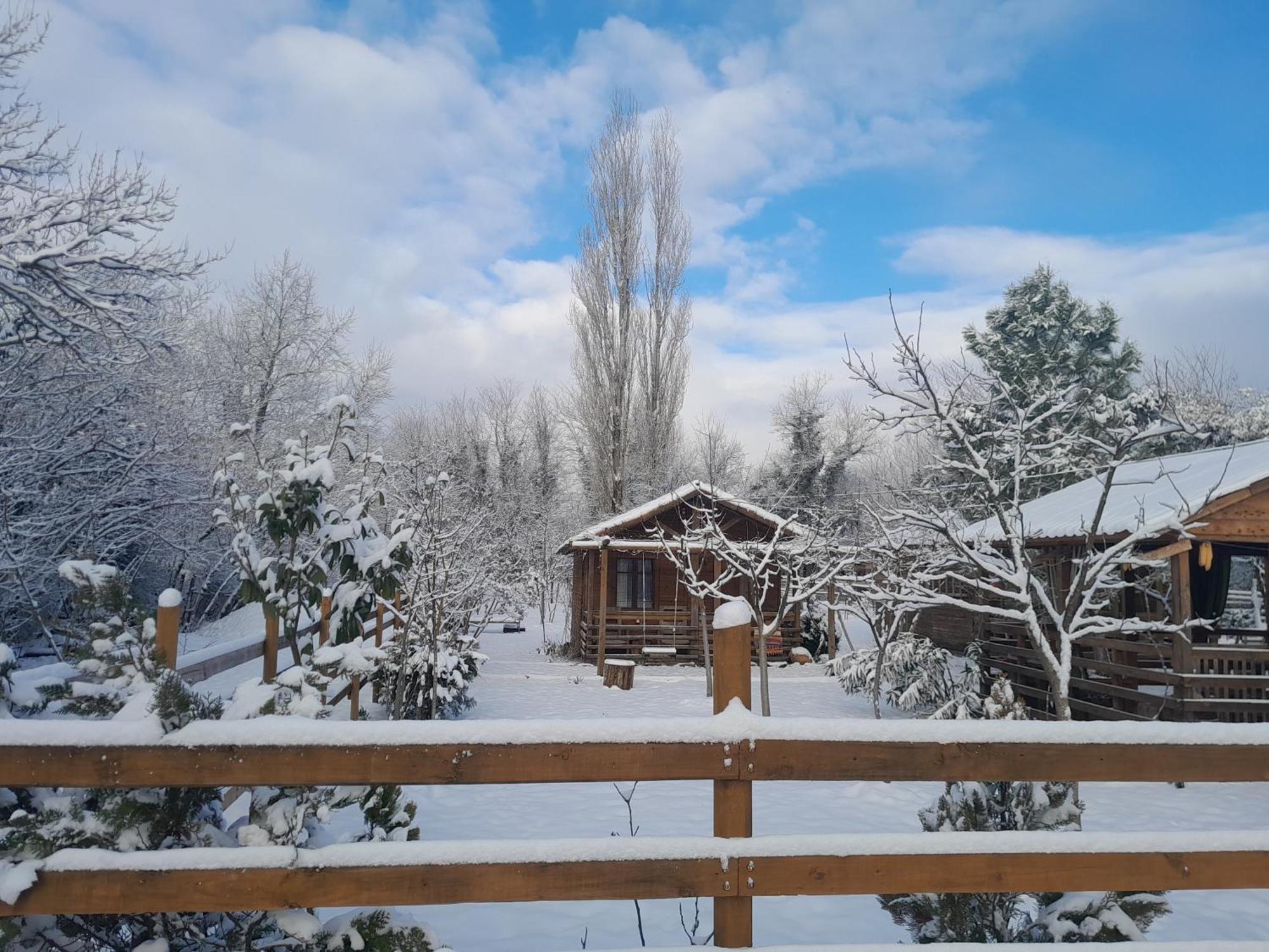 Tiny Houses Genacvale Мартвілі Екстер'єр фото
